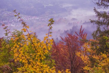 Traufgang Felsenmeersteig