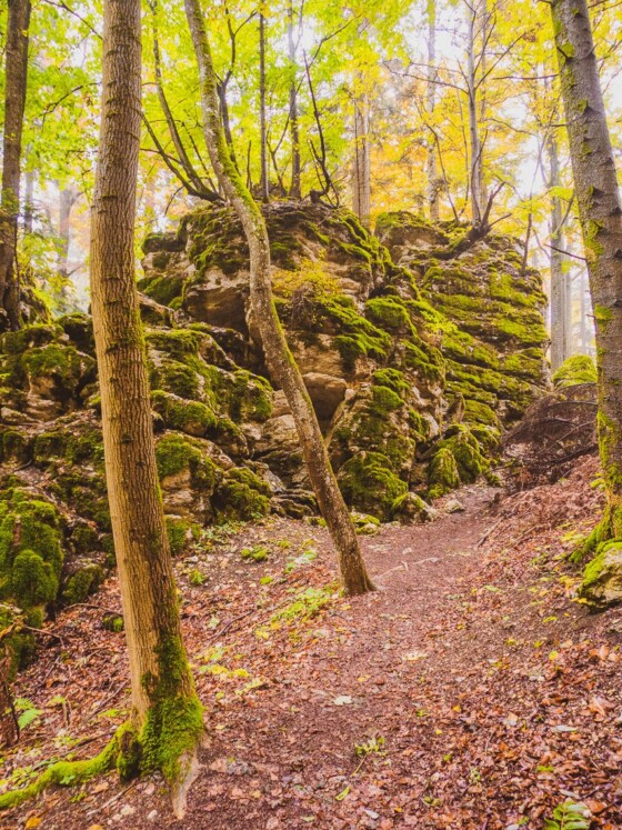 Traufgang Felsenmeersteig - Felsenmeer Schwäbische Alb