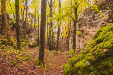Traufgang Felsenmeersteig - Felsenmeer Schwäbische Alb