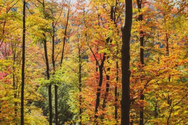 Traufgang Felsenmeersteig