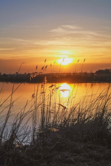 Mikroabenteuer Floßurlaub in der Wildnis bei Amsterdam