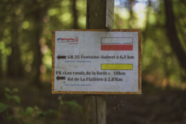 Foret Senonches Mountainbike