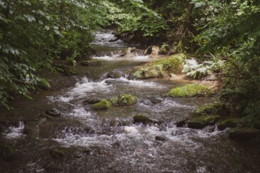 Trekking im Odenwald