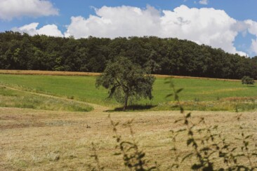 Trekking-Camps im Odenwald