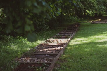 Trekking im Odenwald