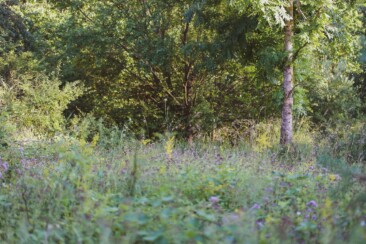 Trekking-Camps im Odenwald
