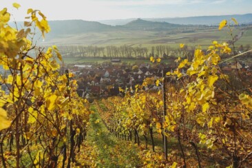 Wandern rund um Tübingen