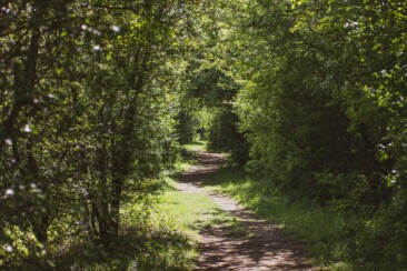 Moringerwaarden Gouden Ham Wanderung