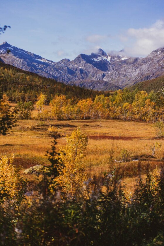 Lofoten Reise in 1 Woche