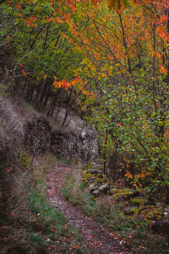 Wanderung San Romerio Tirano