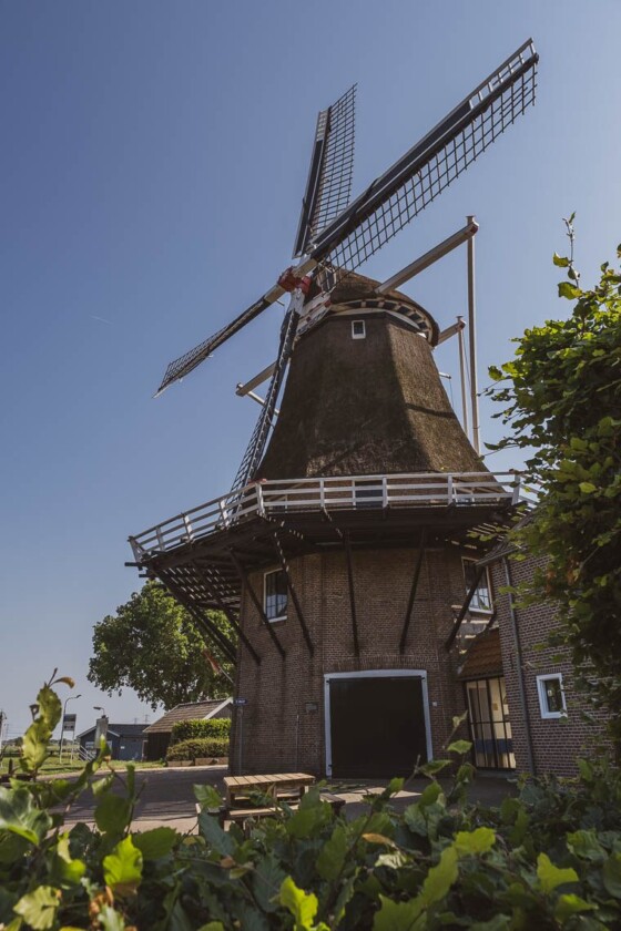 Windmühle De Zwaluw Hasselt